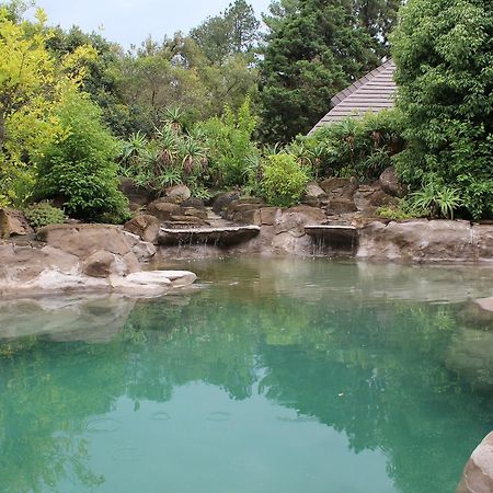 Champagne Valley Treks, Trips And Trails 빌라 외부 사진