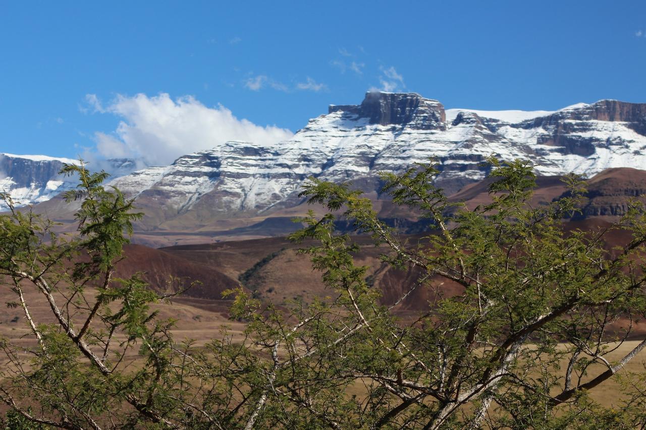 Champagne Valley Treks, Trips And Trails 빌라 외부 사진
